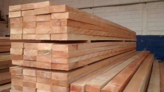 madeiras + madeireira em sp + madeireira TM