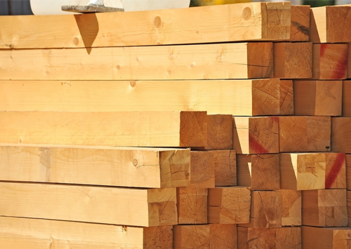 madeiras + madeireira em sp + madeireira TM